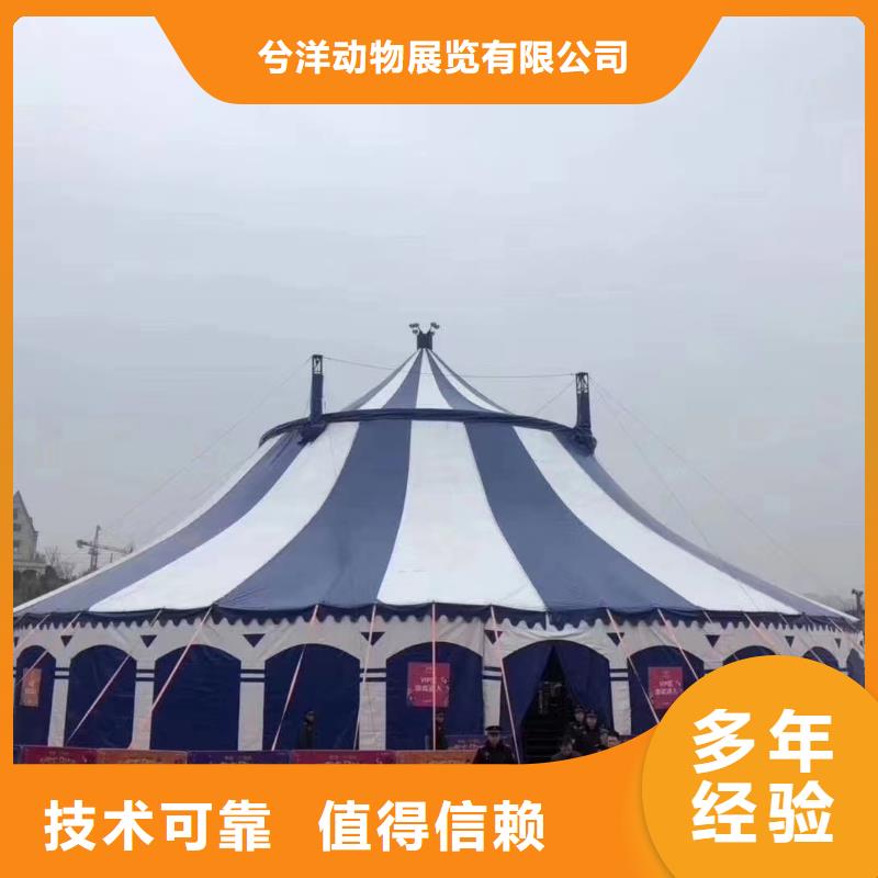 【马戏团/羊驼-马戏团表演高性价比】