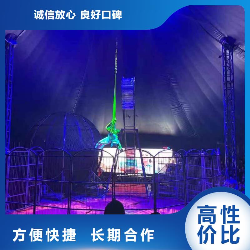 马戏团/羊驼萌宠动物展出租技术精湛