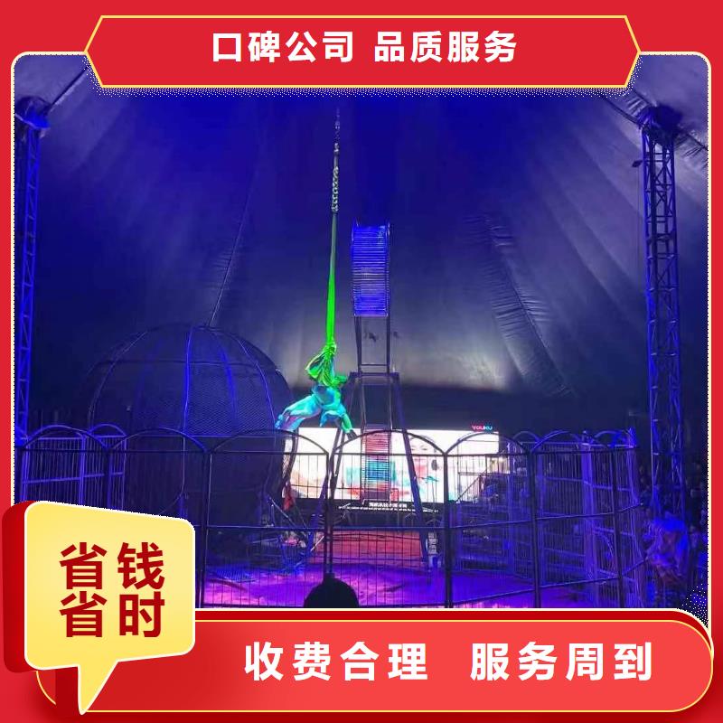 马戏团/羊驼【海狮表演租赁】技术可靠