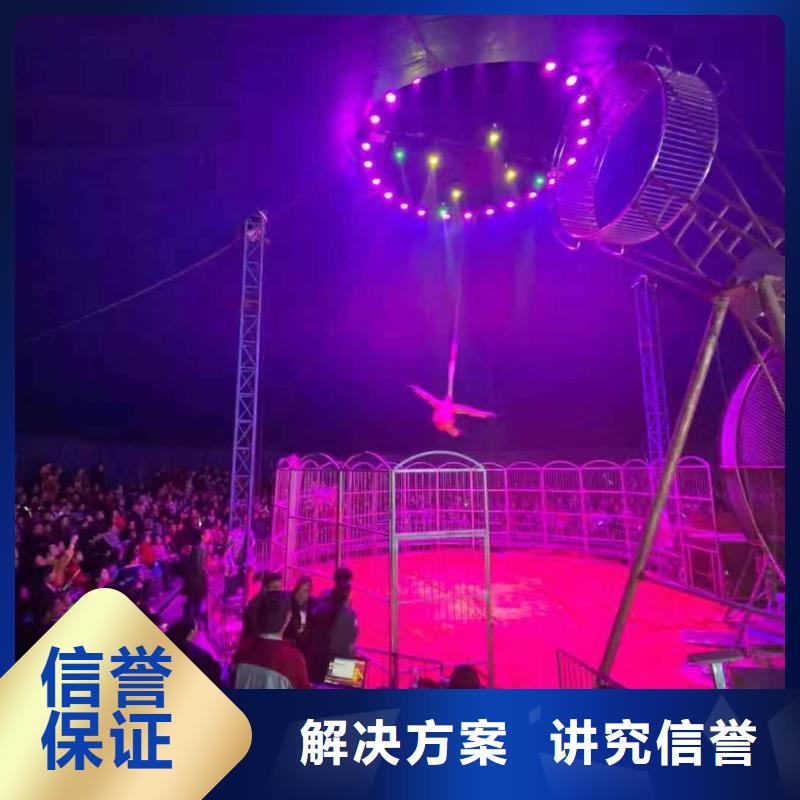 专业品质 高品质【马戏团/羊驼】-美人鱼表演价格低于同行_兮洋