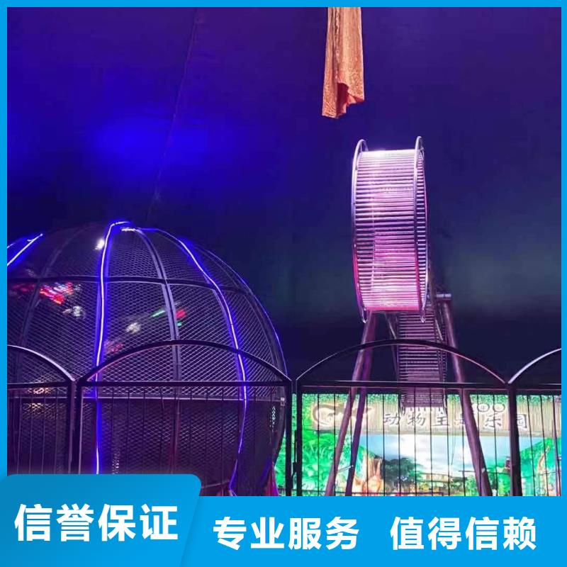 马戏团/羊驼动物杂技表演租赁方便快捷