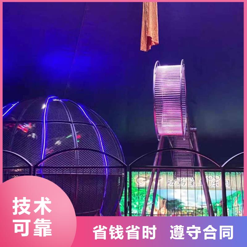马戏团/羊驼羊驼出租快捷