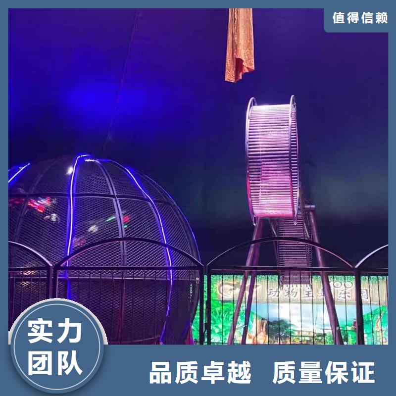 【马戏团/羊驼-马戏团表演高性价比】