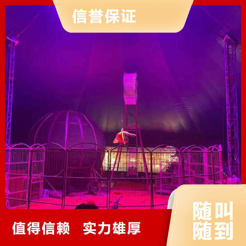 马戏团/羊驼海狮表演出租口碑商家