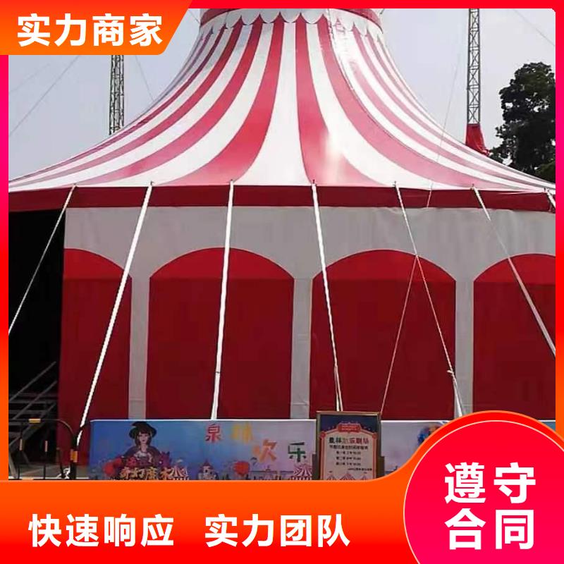 专业品质 高品质【马戏团/羊驼】-美人鱼表演价格低于同行_兮洋