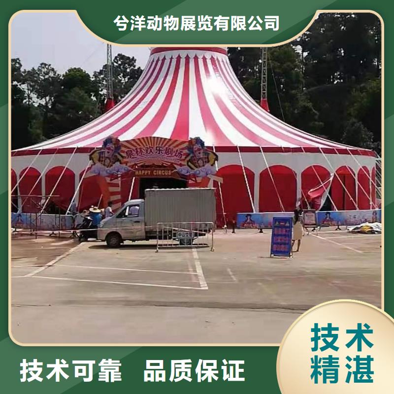 马戏团/羊驼海狮表演出租品质优