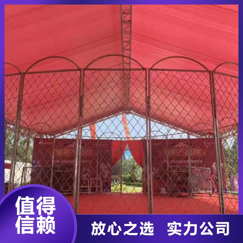 马戏团/羊驼-动物展览秀专业服务