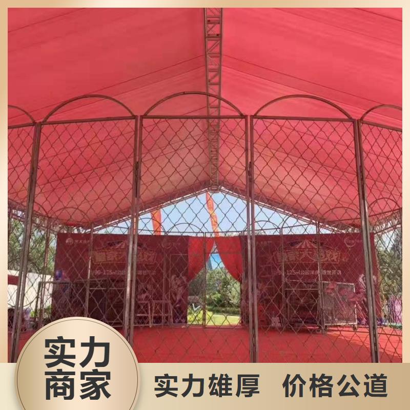 马戏团/羊驼马戏表演良好口碑