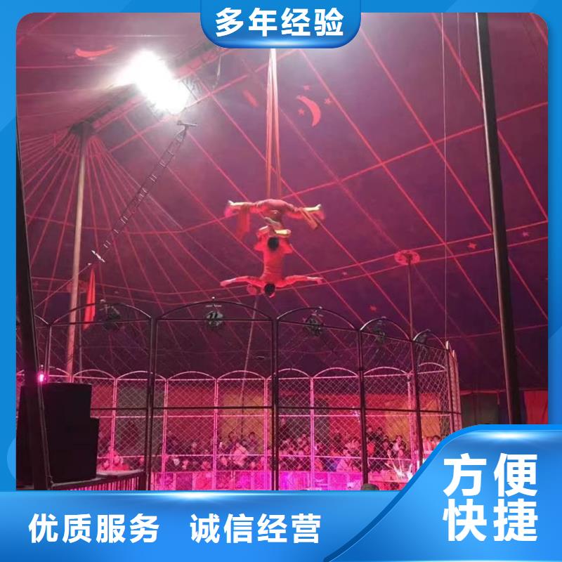 马戏团/羊驼,美人鱼表演信誉保证