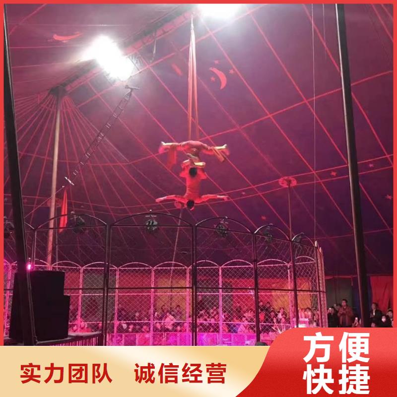 马戏团/羊驼羊驼出租免费咨询