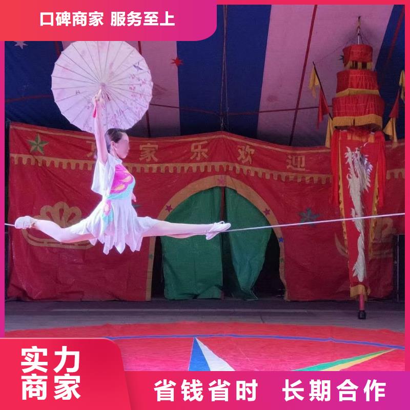 马戏团/羊驼_马戏团表演出租租赁正规