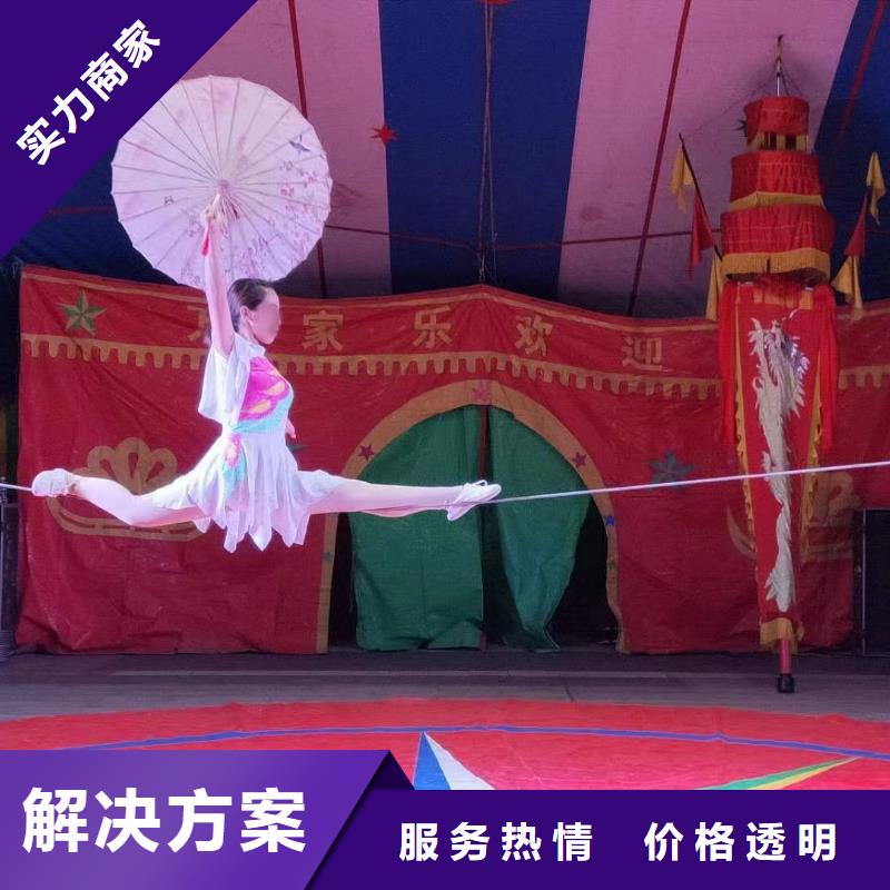 马戏团/羊驼海狮表演出租品质优