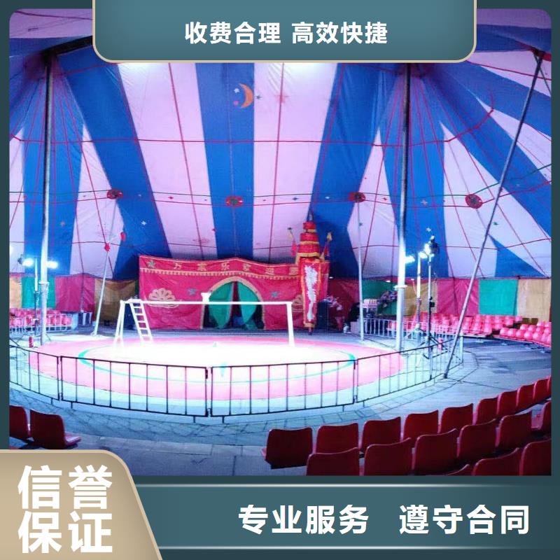 马戏团/羊驼马戏表演良好口碑