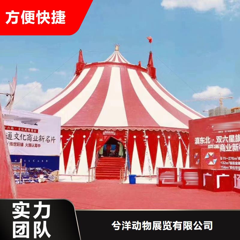 马戏团/羊驼_出租企鹅效果满意为止