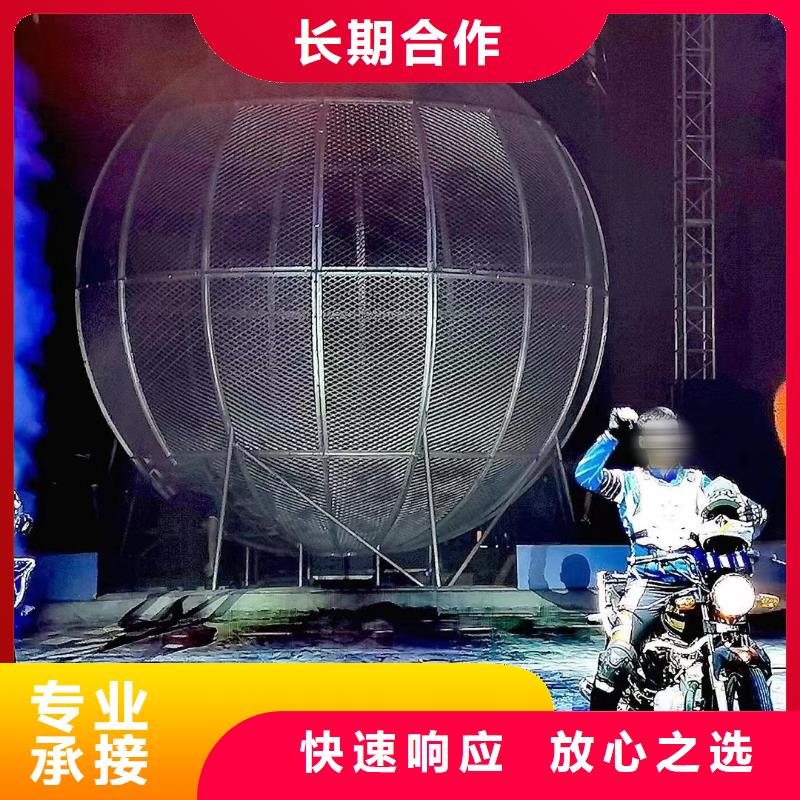 马戏团/羊驼-【海狮表演】欢迎合作