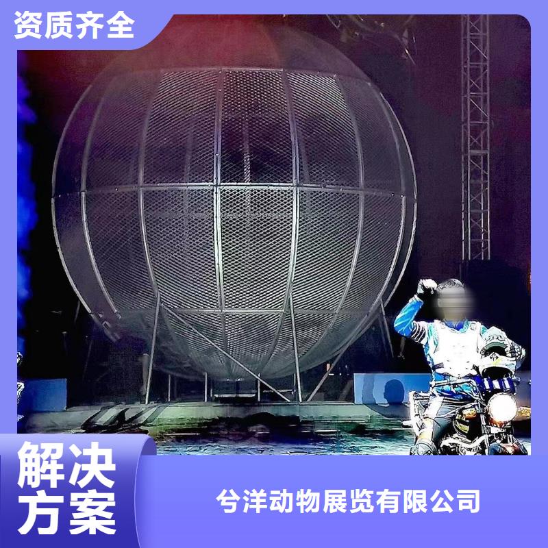 马戏团/羊驼,出租表演羊驼效果满意为止