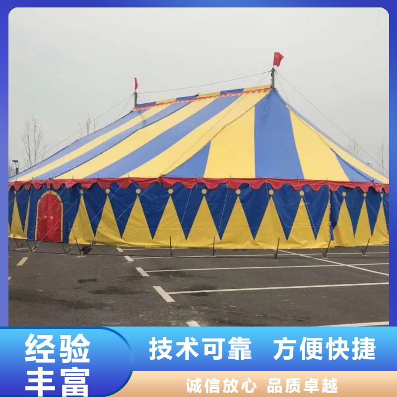 马戏团/羊驼 出租表演海狮正规团队