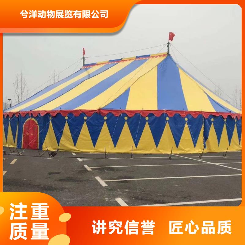马戏团/羊驼环球飞车表演出租价格低于同行