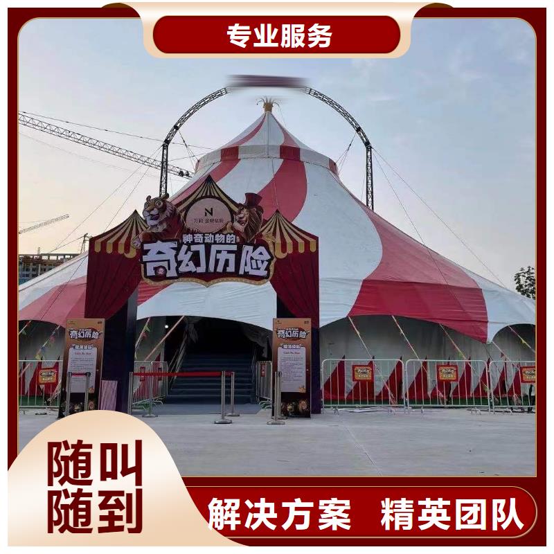 马戏团/羊驼海狮表演出租2025专业的团队