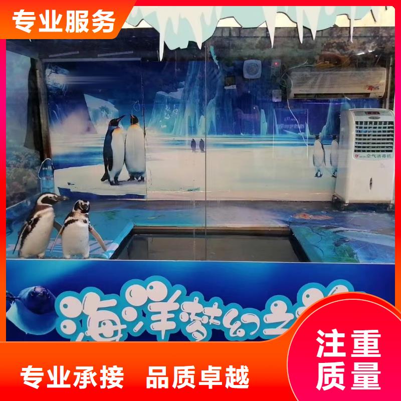 【海洋主题动物表演】海洋展租赁多年行业经验