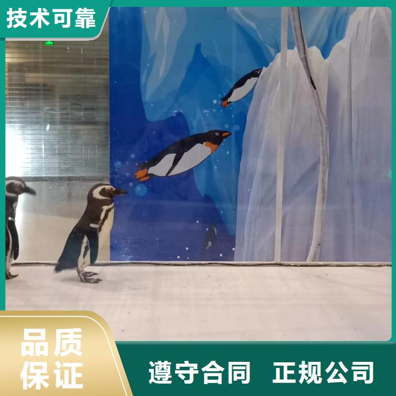 海洋主题动物表演_企鹅租赁欢迎合作