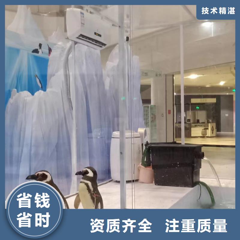 海洋主题动物表演-吉祥百鸟展比同行便宜