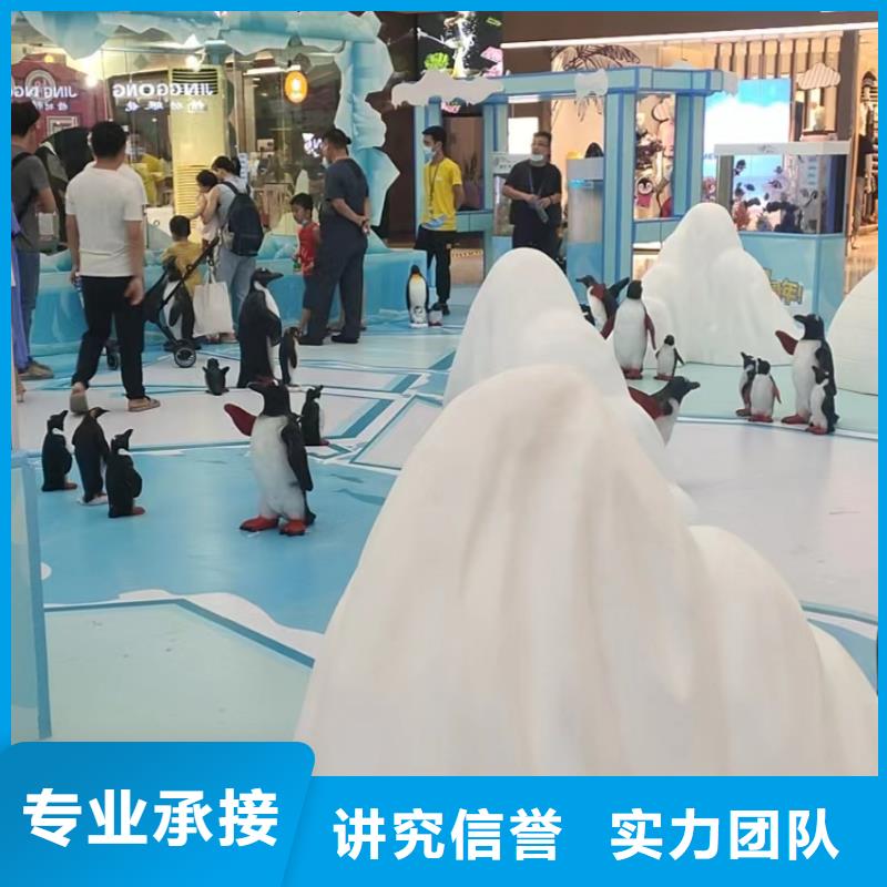 海洋主题动物表演表演动物出租比同行便宜