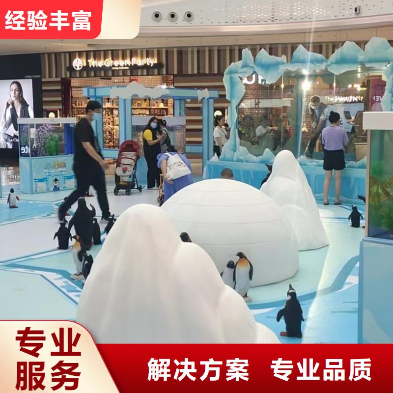 海洋主题动物表演【海狮表演出租】正规团队