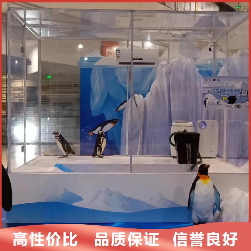 海洋生物鱼缸展出租节日活动