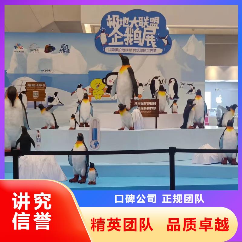 海洋主题动物表演【【海狮杂技表演】】放心之选