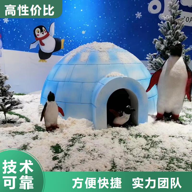 海洋主题动物表演,吉祥百鸟展服务热情