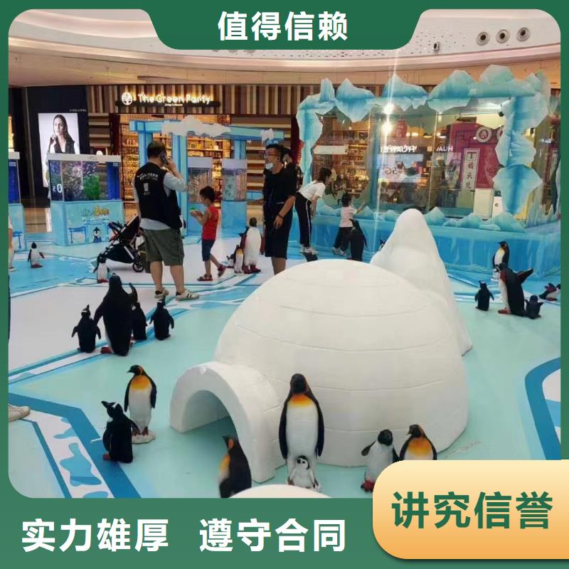 海洋主题动物表演,景区杂技表演实力强有保证