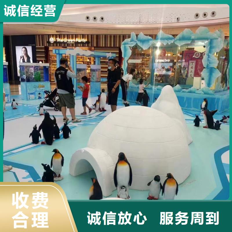 海洋主题动物表演景区杂技表演拒绝虚高价