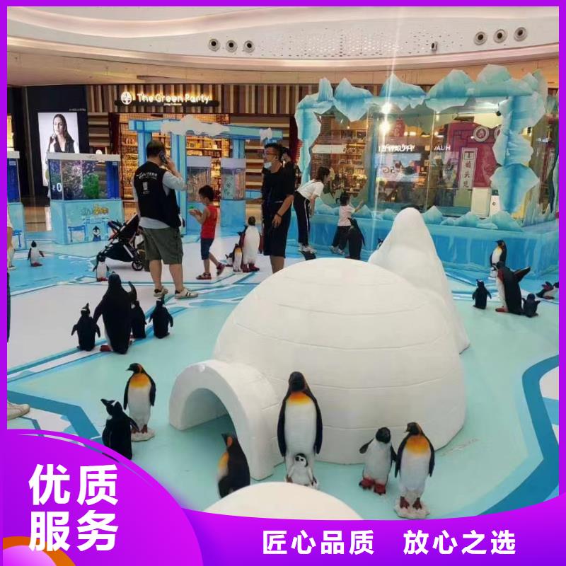 海洋主题动物表演杂技表演租赁服务专业承接