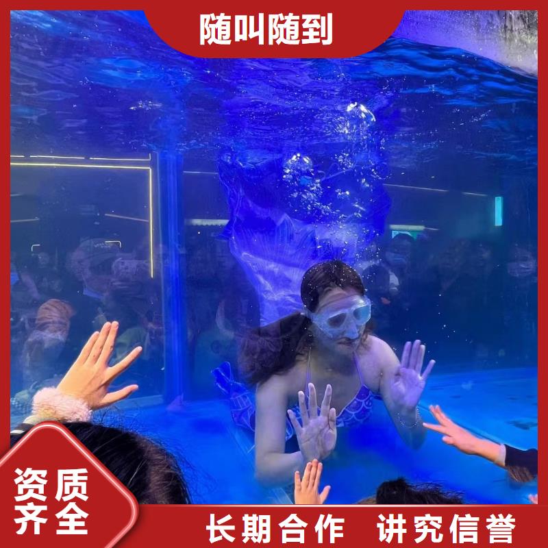 海洋主题动物表演【企鹅表演】讲究信誉