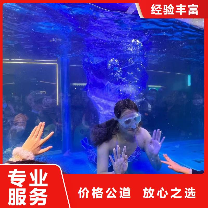 海洋主题动物表演海狮表演出租快速响应