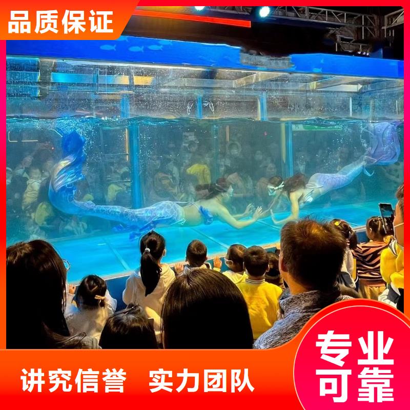 【海洋主题动物表演】企鹅出租技术可靠