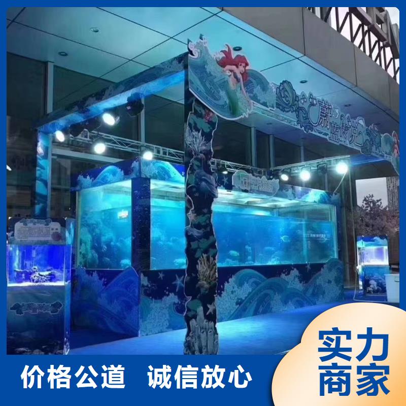 海洋主题动物表演杂技表演租赁服务一对一服务