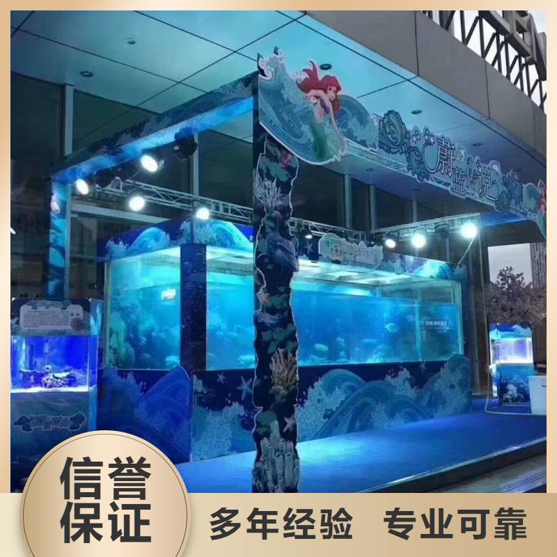 海洋主题动物表演-海豚表演有实力