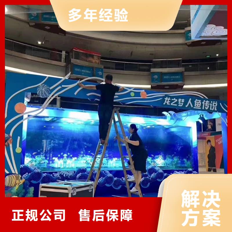 海洋主题动物表演 马戏团表演出租随叫随到