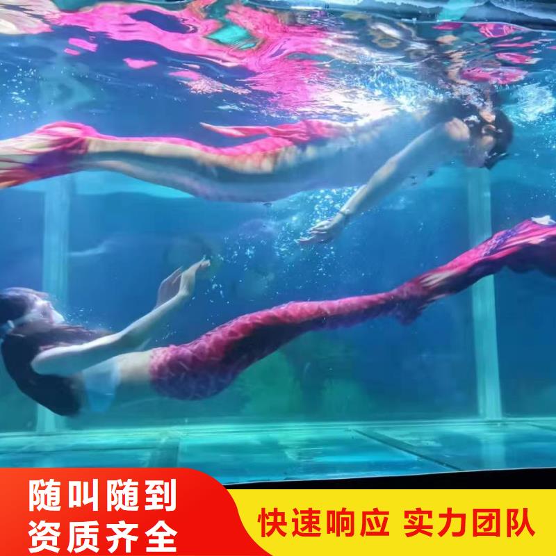 海洋主题动物表演海狮表演出租长期合作
