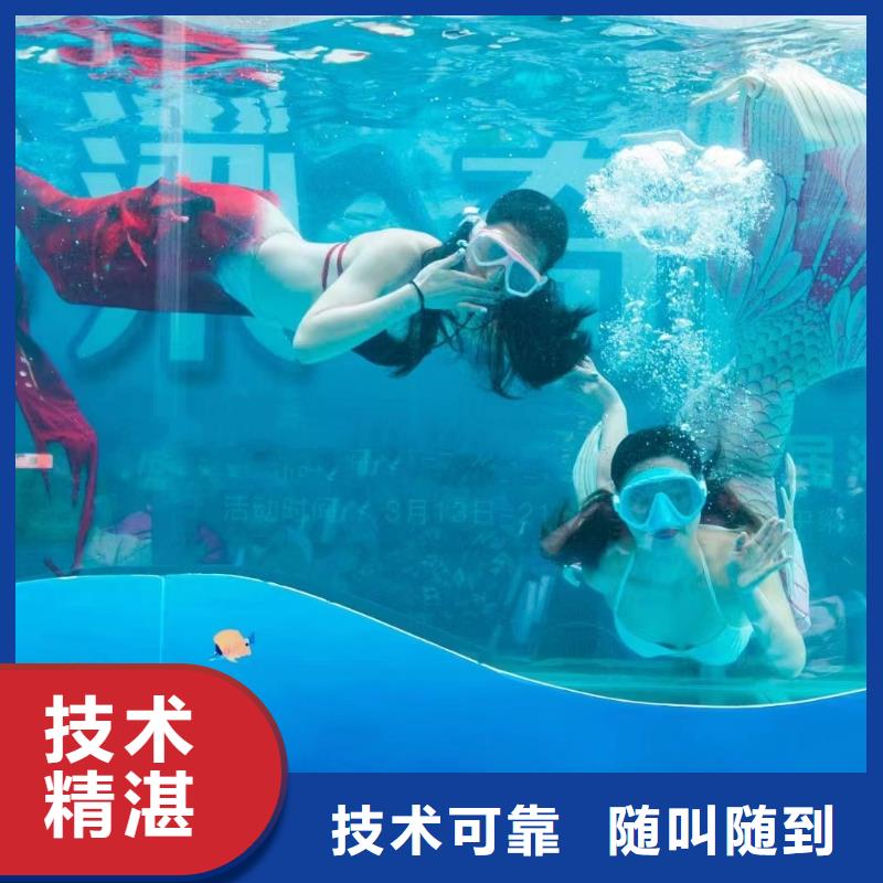 海洋主题动物表演_小马戏出租良好口碑