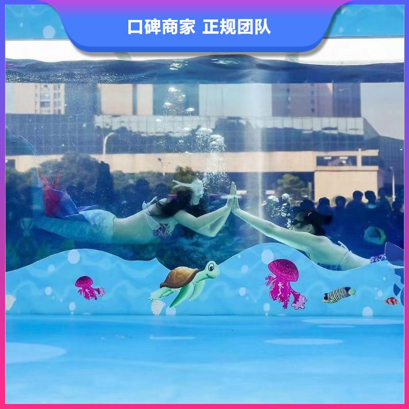 海洋主题动物表演海狮表演出租品质服务