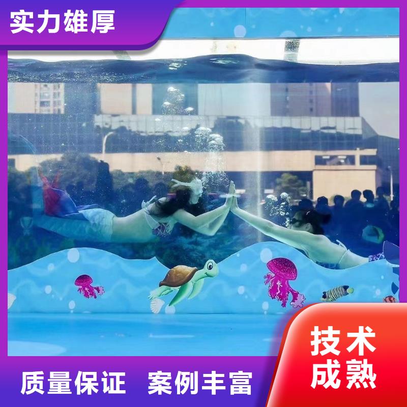 海洋主题动物表演 美人鱼表演良好口碑