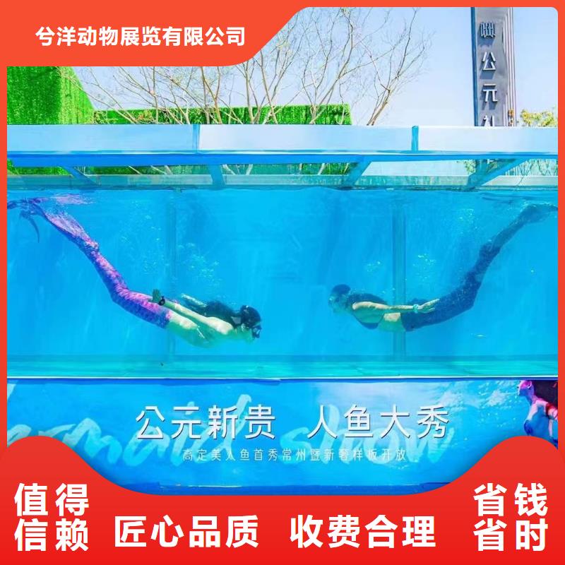 出租美人鱼表演庆典活动