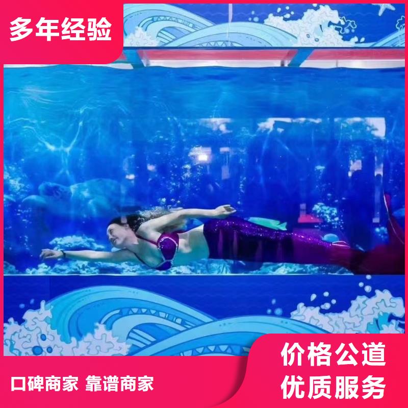 海洋主题动物表演海狮表演出租长期合作