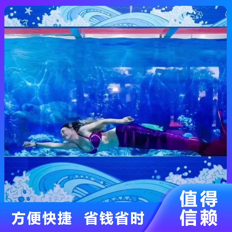 海洋主题动物表演出租海狮表演欢迎合作