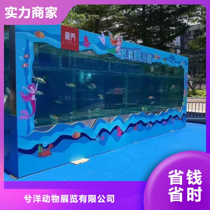 海洋主题动物表演水族海洋展快速响应