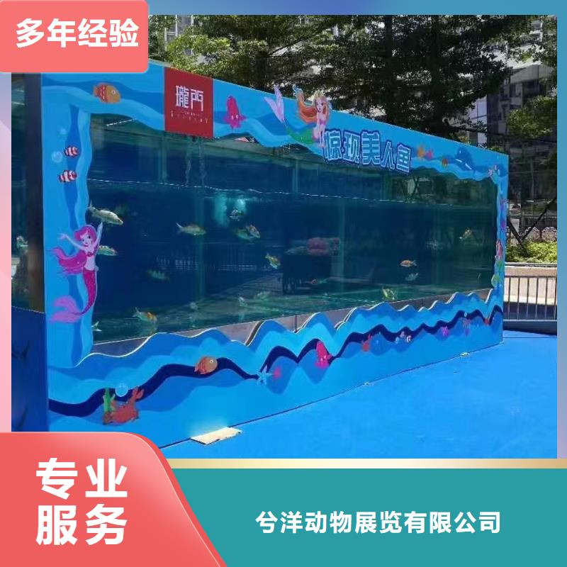 海洋主题动物表演鹦鹉表演品质服务