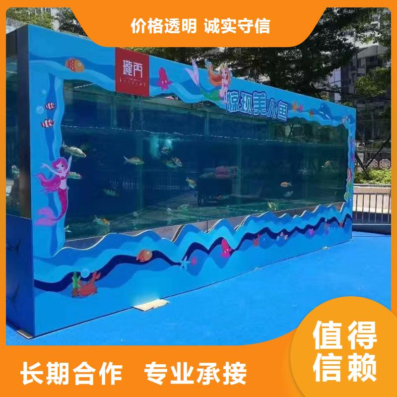 海洋主题动物表演海狮表演出租品质服务